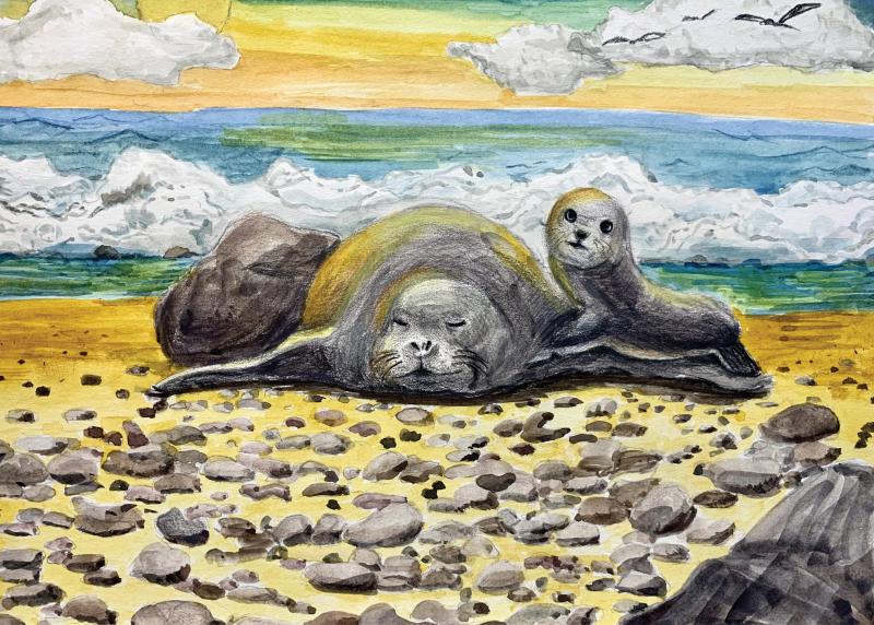 A watercolor and colored pencil drawing of resting mother and pup Hawaiian monk seal