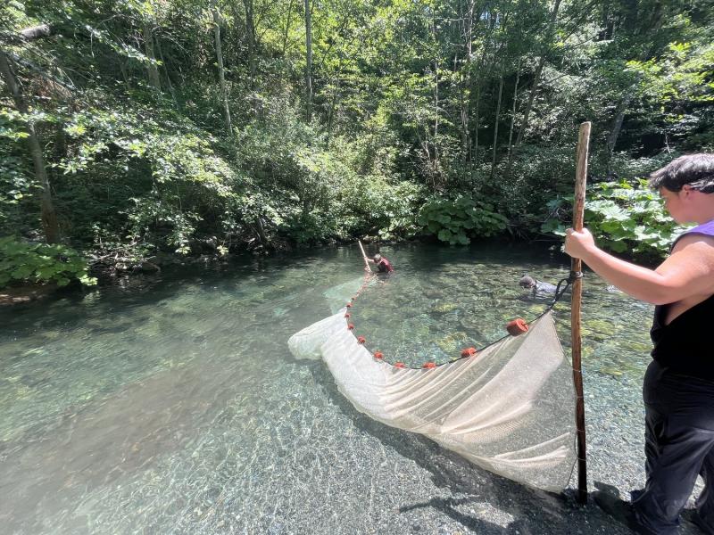 Two people hold either end of a net in a clear rocky stream