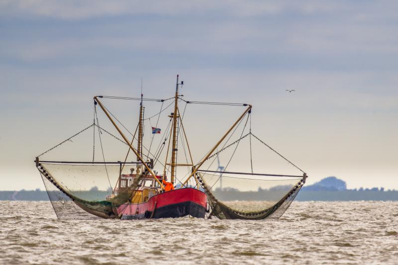 fishing boat