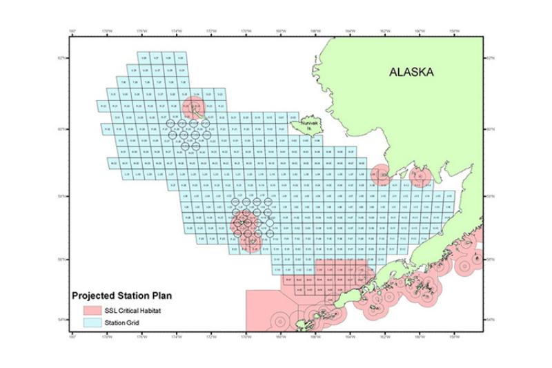 Map of proposed survey stations for research in the eastern Bering Sea