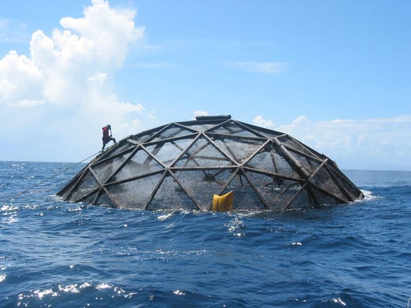 A diver walks up the side of an aquapod aquaculture net pen.