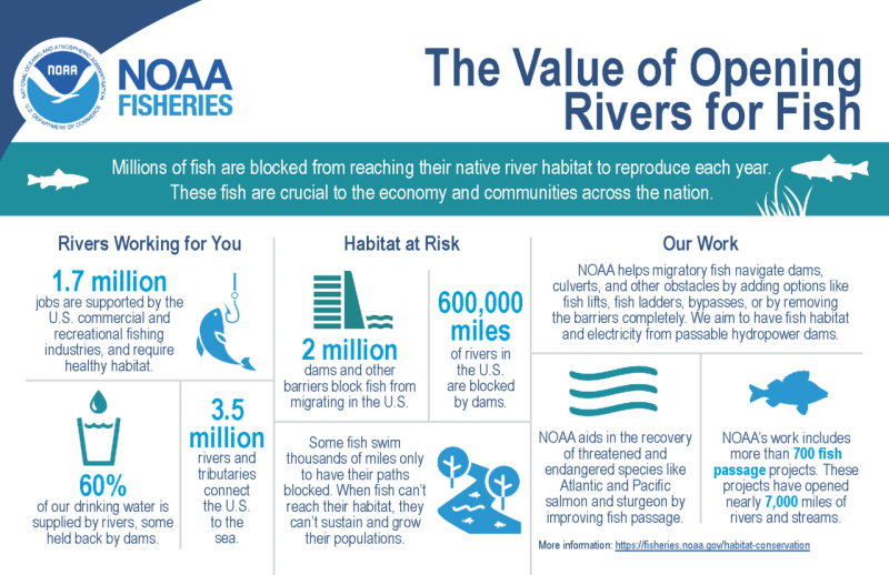 1FishPassage_Infographic.png