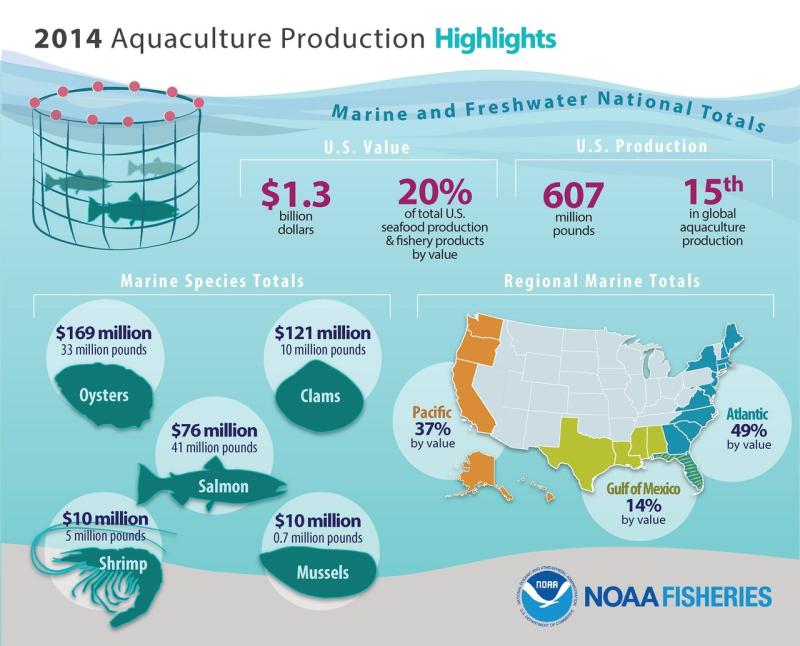 2014 Aquaculture Infographic.jpg