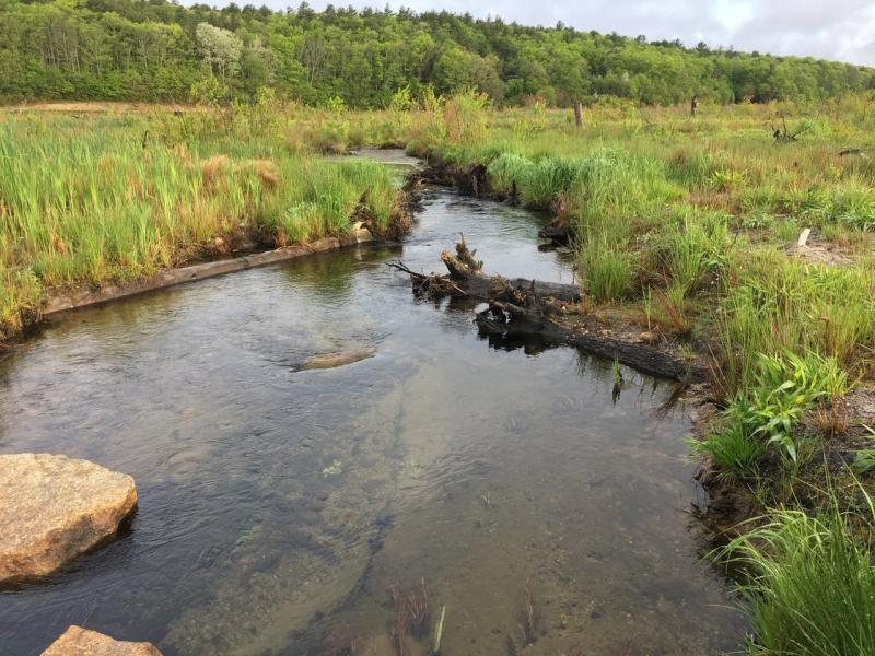 2017_0523_channel_at_former_reservoir_IMG_7207_cr_LivingObservatory (1).jpg