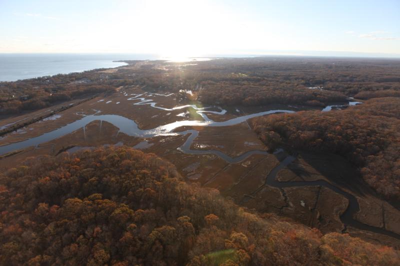 2018-11 Mckinney Wildlife Refuge Marsh CT USFWS.jpg