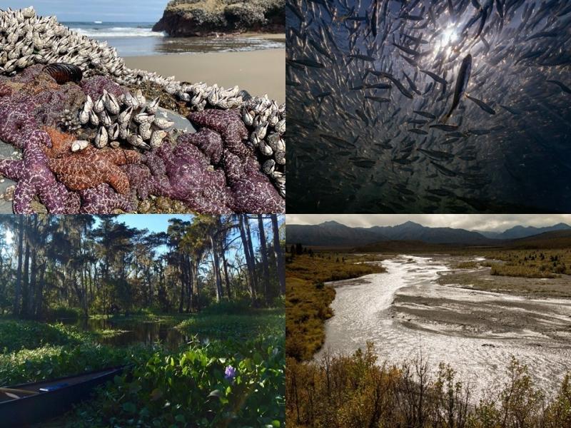 2019 Habitat Month Photo Contest - Public Winners.jpg