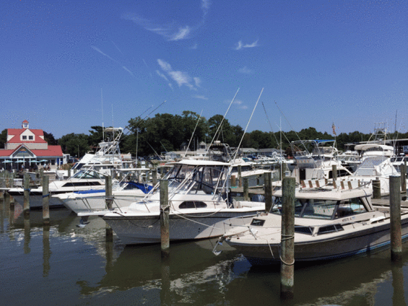 3264x2448_MRIP-KentMarina1.gif