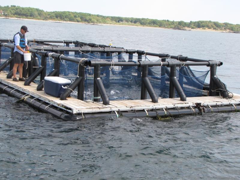 3648x2736-aquaculture-GARFO.JPG