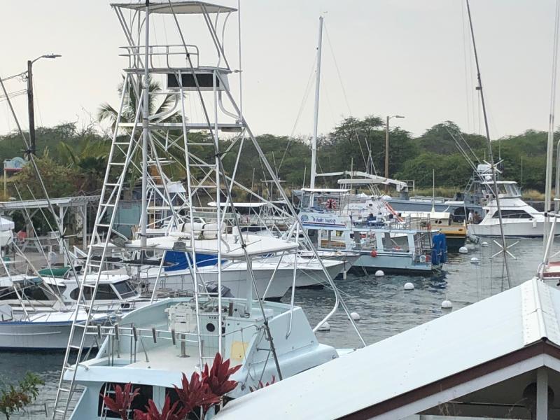 4032x3024charterboats.jpeg