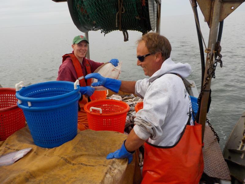 Captain of fishing vessel and observer working together. 
