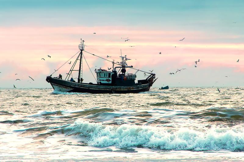 Fshing ship surrounded  of seagulls in Atlantic ocean at sunset