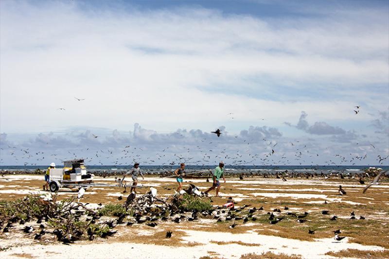750x500-field-team-moving-gear-ffs-NOAA-PIRO.jpg