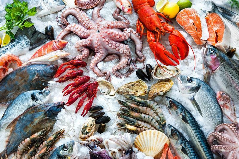 A variety of fresh seafood on a bed of ice, including multiple kinds of finfish and shellfish.