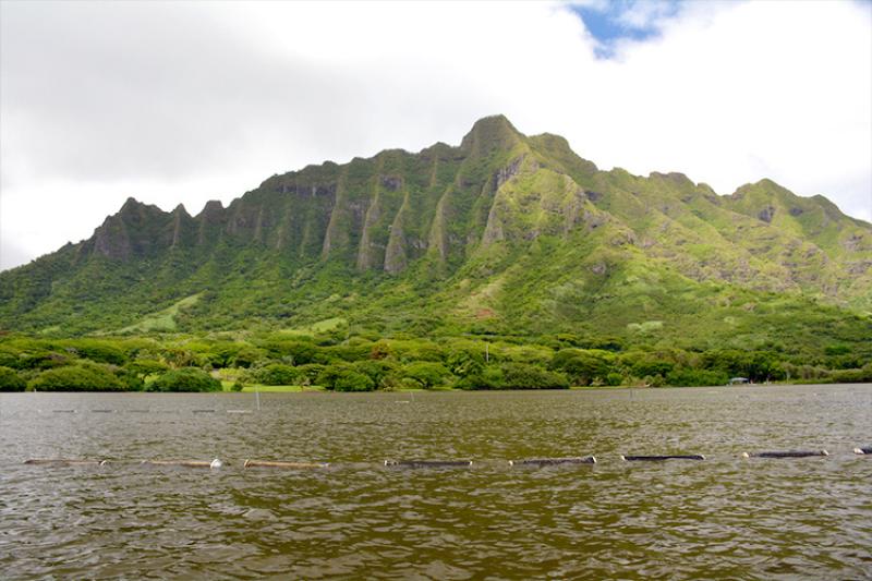 750x500-oyster-baskets-pond-kaneohe-hi-NOAA-PIRO.jpg