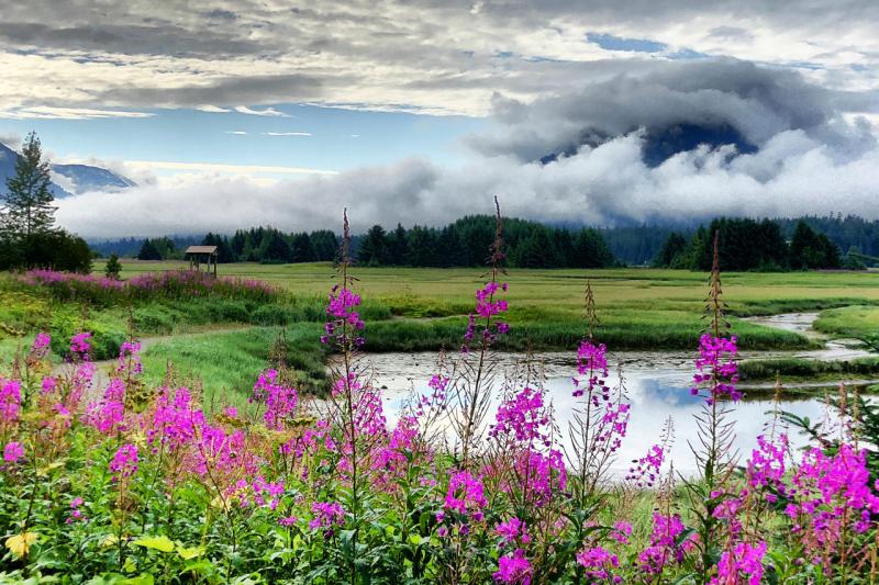 750x500-ryamada_wetlands.jpg