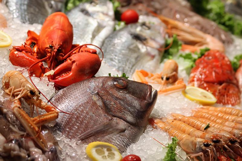 750x500-seafood-on-ice-shutterstock.jpg