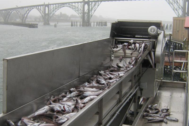 750x500-whiting-processing-sf.jpg
