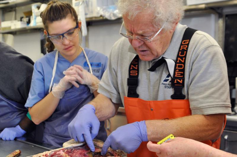 750x500_WBWS_Bob_Prescott_dissecting.jpg