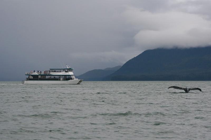 750x500 Whale Watching Juneau.jpg