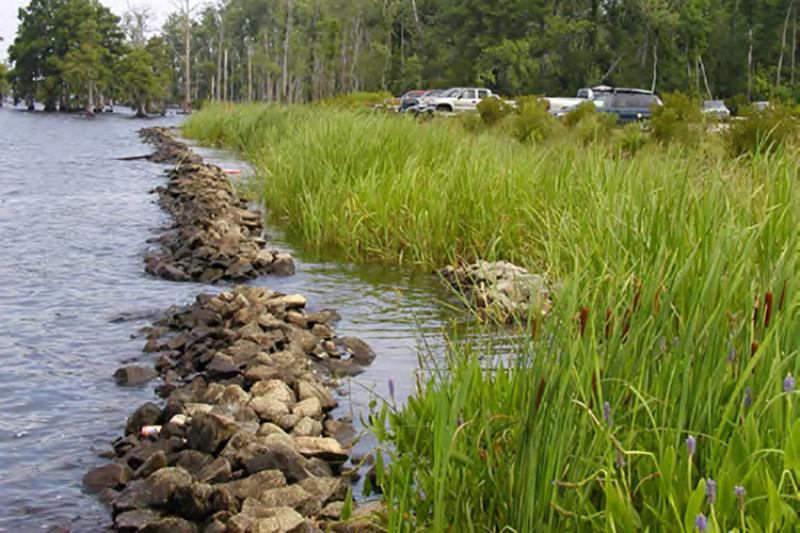 750x500Livingshorelines.jpg