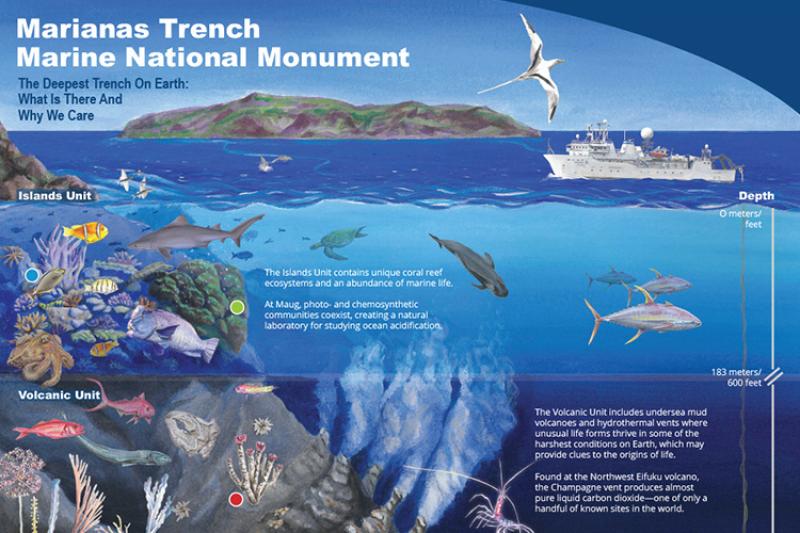 750xx500-mtmnm-edu-poster-th-rachel-strader-NOAA-PIRO.jpg