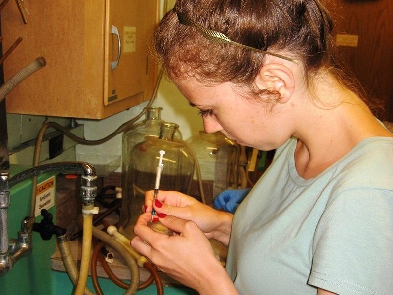 Scientist with hyperdermic needle and clam.