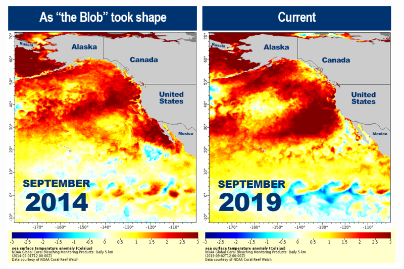 9.5.2019 Marine Heat Wave NOAA Coral Reef Watch 508.png