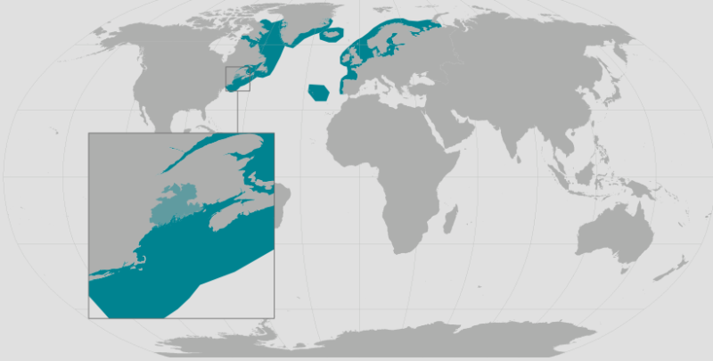 Atlantic Salmon Range_rev.png