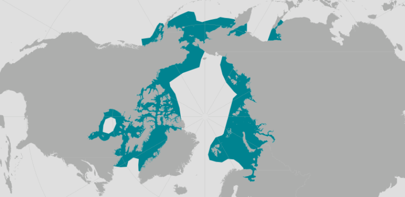 Beluga Whale Range.png