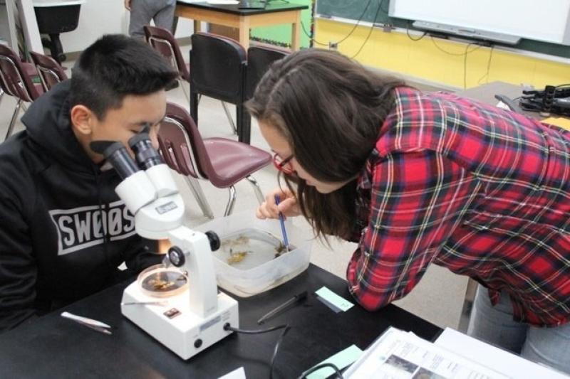 children looking through a microscope in a laboratory
