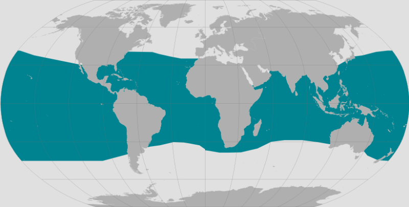 Brydes Whale Range.png