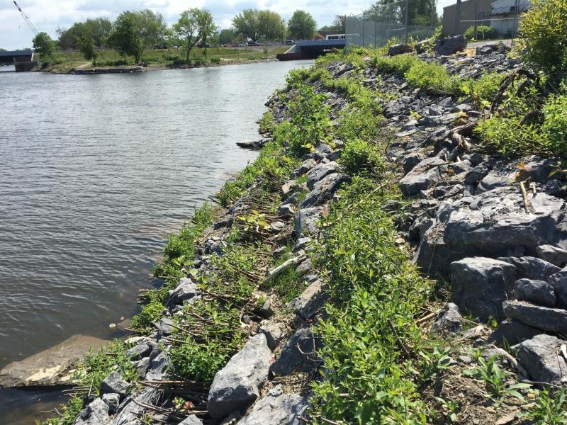 Buffalo River Old Bailey Woods Shoreline stabilization .jpg