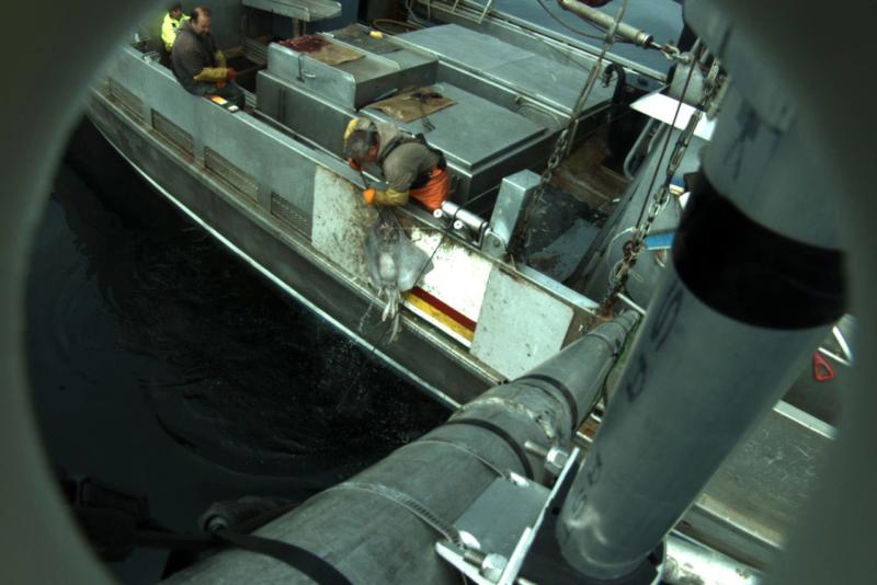 camera_view_of_skate_catch_crop.jpg