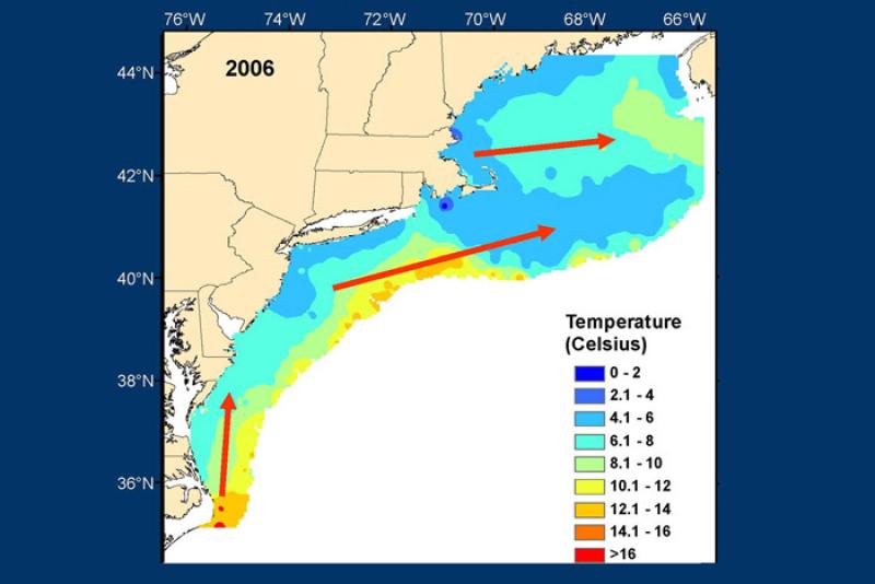 Temperature map of the ocean in the Northeast Atlantic