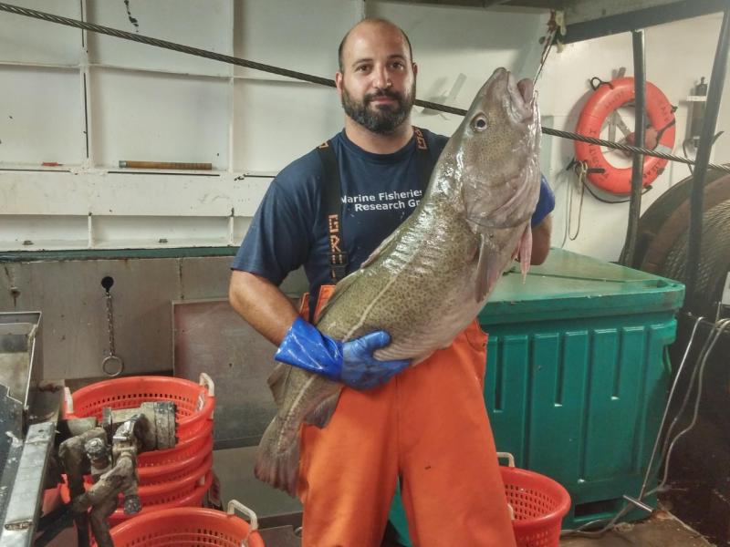 Chris Sarro holding a large fish on board one of the study fleet vessels.
