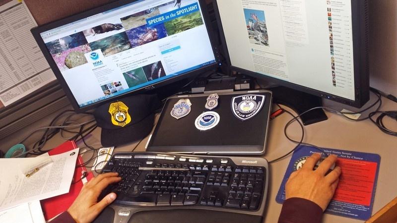 computer-screens-social-media-OLE.jpg