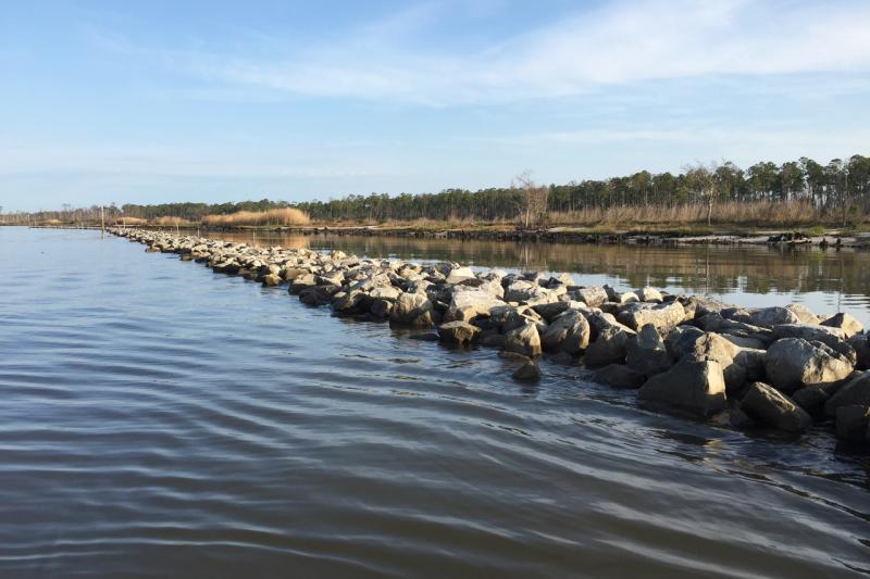 Deepwater Horizon Living Shoreline Oyster Reef 1 Alabama 3264x2176.jpg