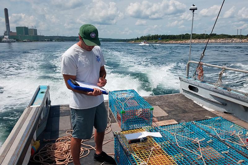 Biologist on a ship collecting data during buoyless lobster trap tests. 