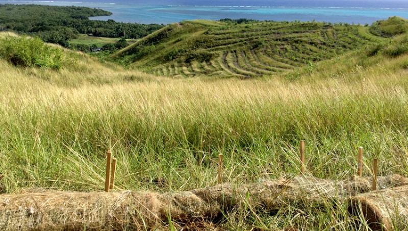 fiber-roll-with-site-guam-750x425.jpg