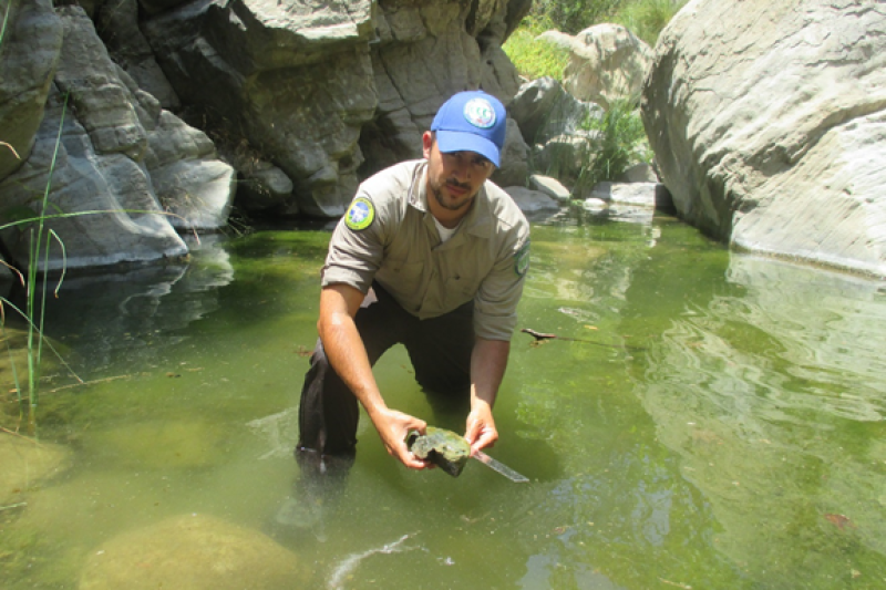 Fish Migration Vet Corps James Garcia CA 3x2.png