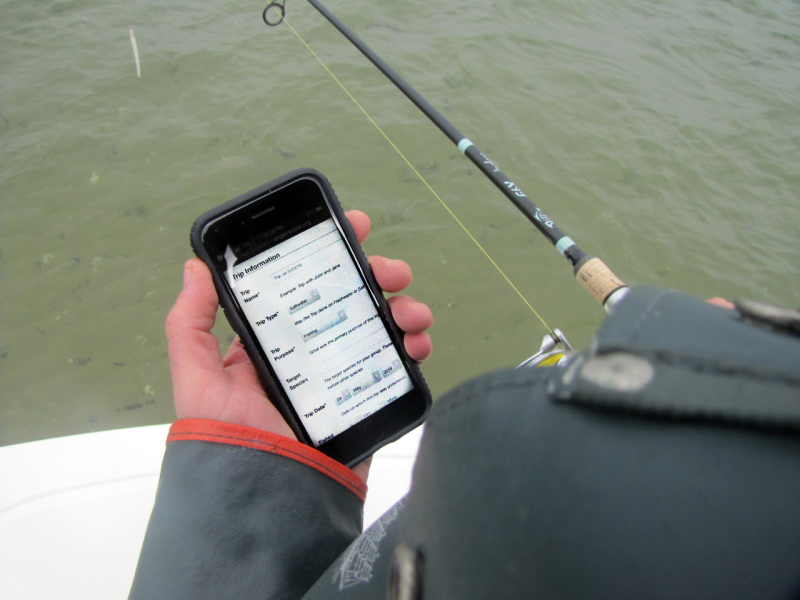 Fisherman using app_David Bard_2019.png