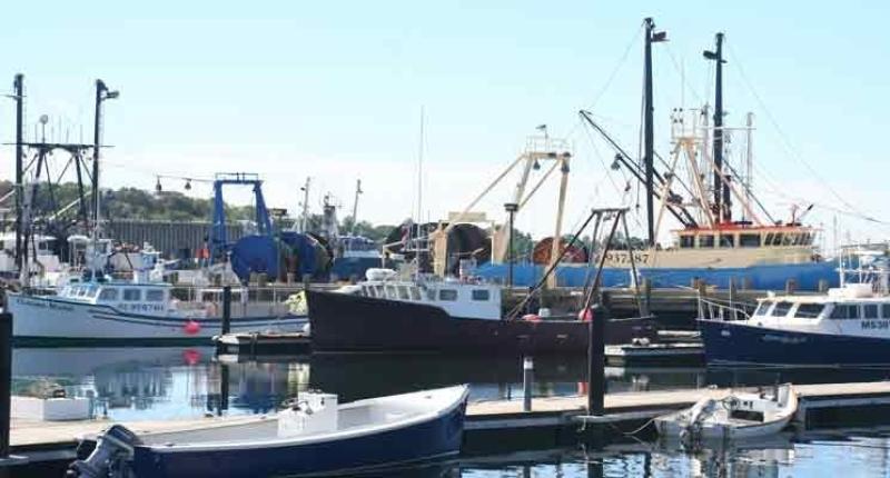 Fishing boats in Gloucester Harbor.jpg