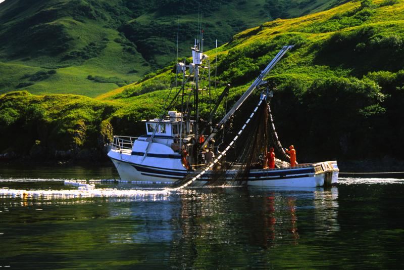 Commercial Fishing near Kodiak Island Alaska