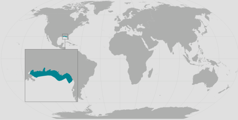 Gulf Sturgeon Range_Inset_rev.png