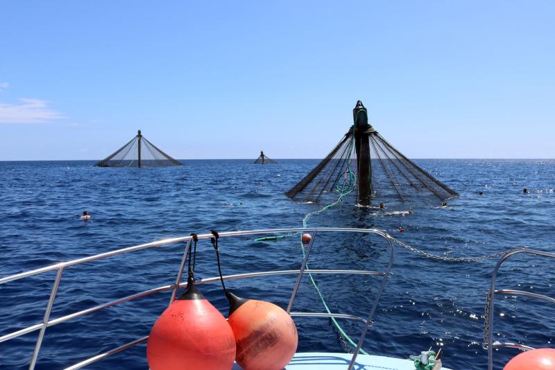Three aquaculture net pens poke above the water's surface.