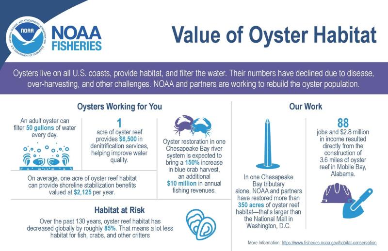 Infographic National Value of Oyster Habitat.jpg