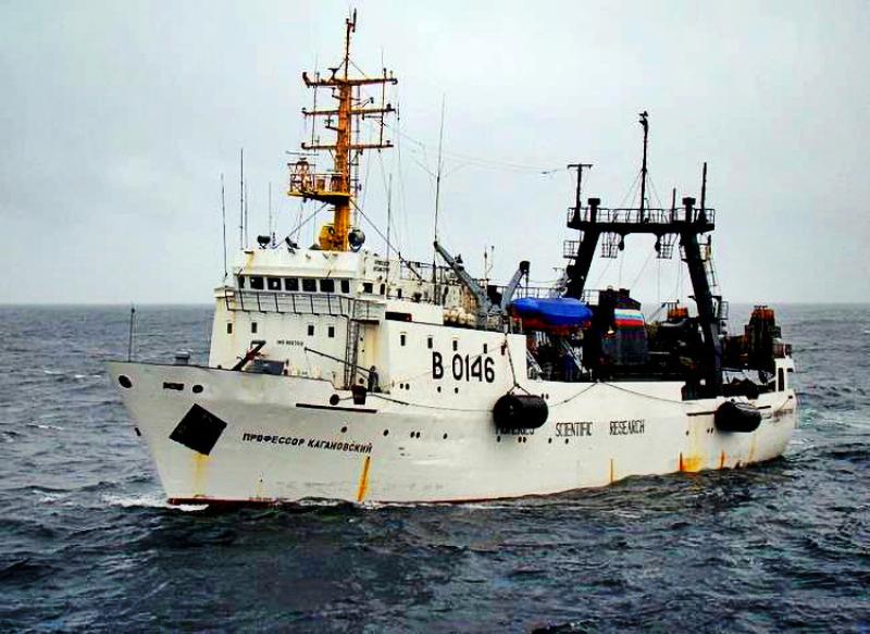 White ship at sea