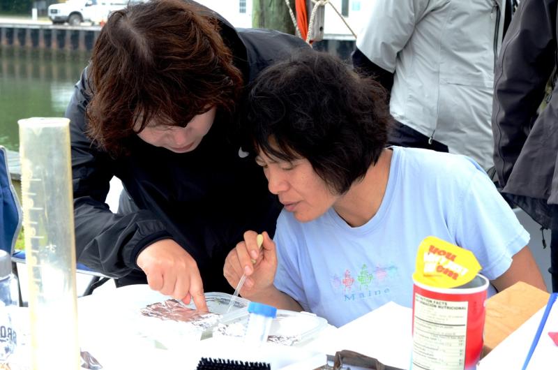 Drs. Judy Li and Hyun Jeong Lim examining specimens