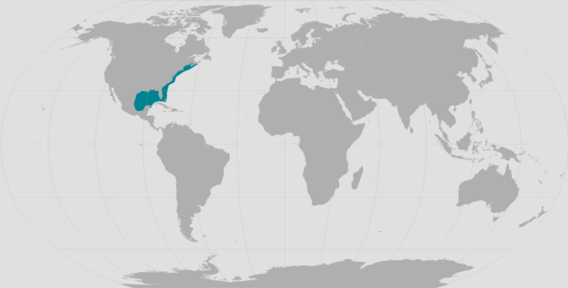 Kemp_s Ridley Turtle Range.png