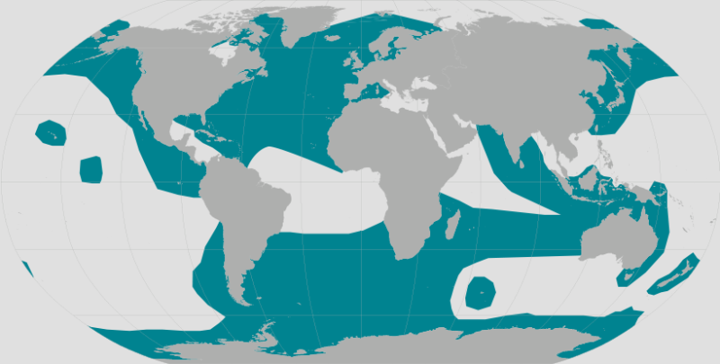 Global killer whale range map